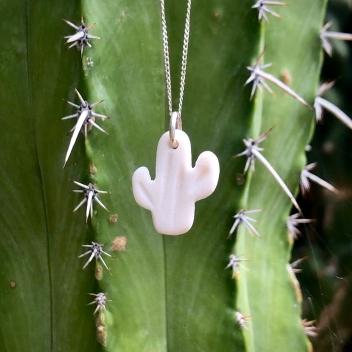Heart and Wilde Porcelain Cactus Necklace in garden